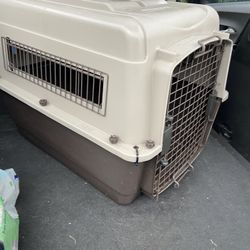 Dog Kennel