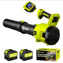 SILVEL Cordless Leaf Blower with 2x6.0Ah Battery and Quick Charger, 750CFM (250MPH