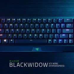 Razer Black Window V3 Mini Keyboard