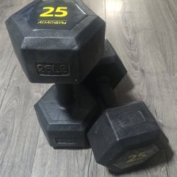 Hex Dumbbells 25 X 2