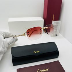 Cartier Small C Decor Vintage Frame Sunglasses 