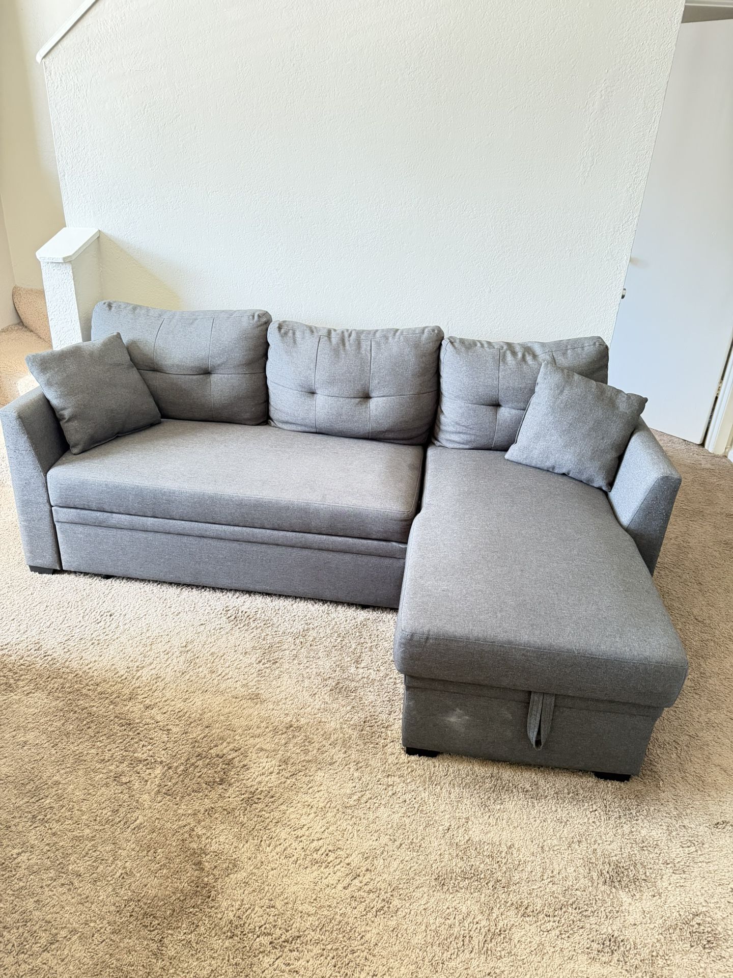 Pull Out Couch w/ Storage Compartment
