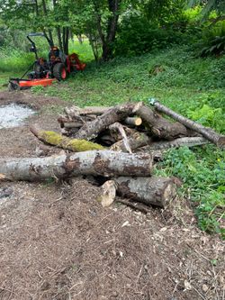 Wood… free!!