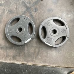 2.5LB (2) Plastic Weights