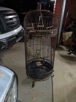 Bird Cage