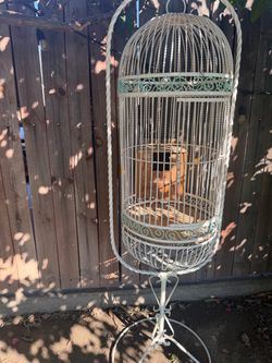 Big bird cage very cute