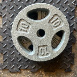 10lb Plate Weights 