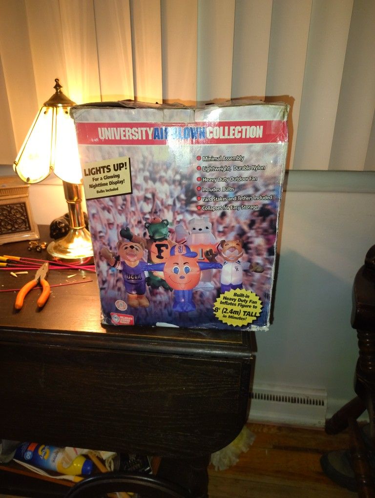 University Airblown Collection Cheapest One I Seen Online Was 125 So Asking 40 Others Were Up To 500