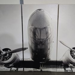 Airplane Wall Art