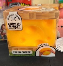 Farmers Market Fresh Cheese Squish Toy