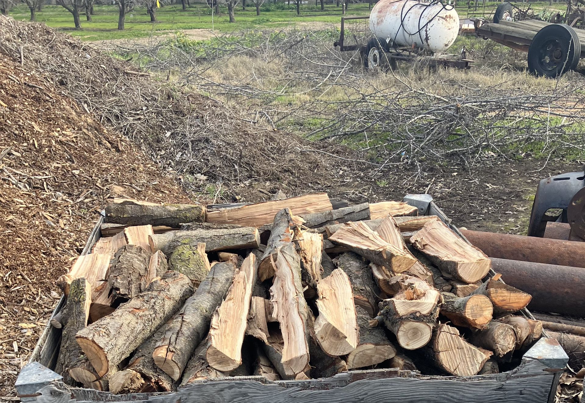 Almond Firewood