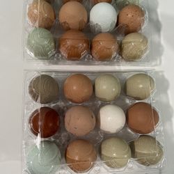 Fresh Eggs  