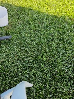 https://offerup.com/redirect/?o=VHJhYmFqby5kZQ== Jardineria