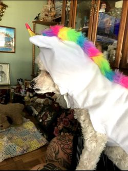 Halloween unicorn costume