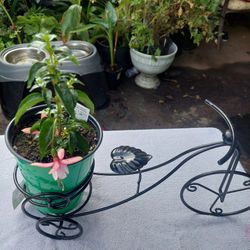 Balarin Blumming And Bicycle Planter