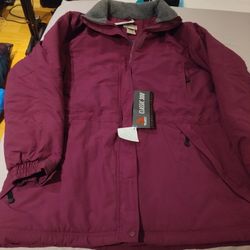 LL BEAN Winter Parka Coat Polartec Thinsulate Insulation Quilted Women's Size XL