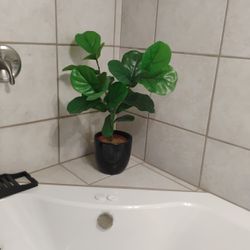 Faux Plant 