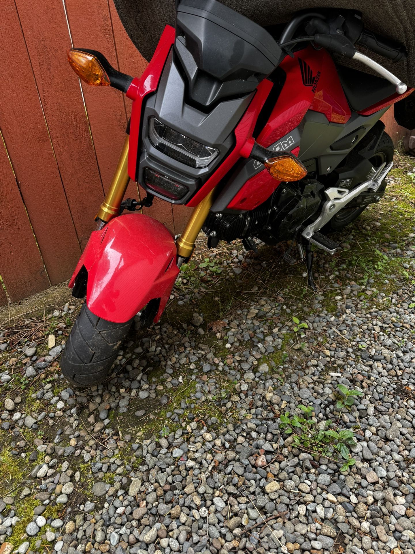 Honda Grom