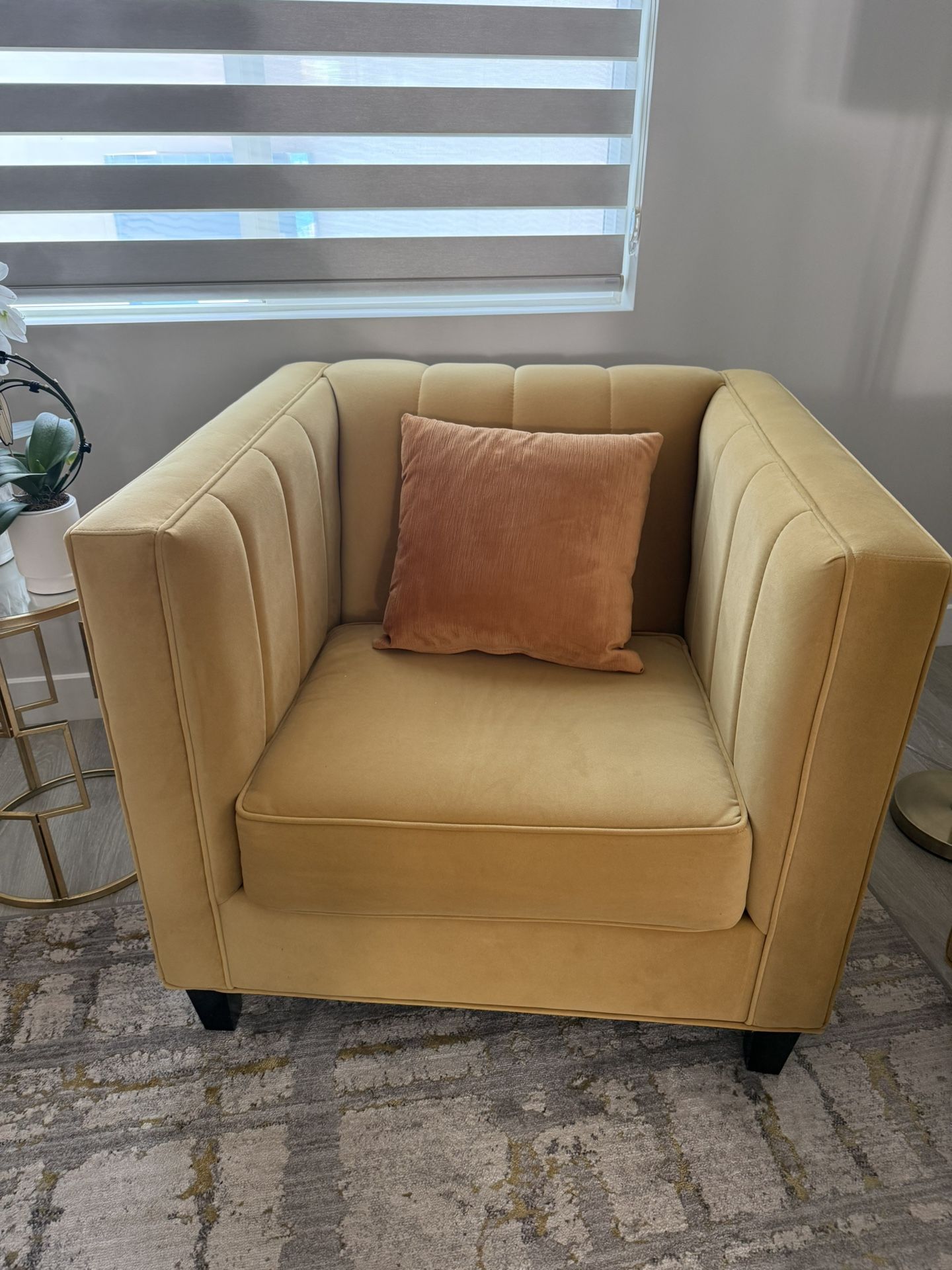Two Small Couch