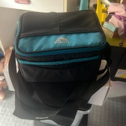 mini cooler bag