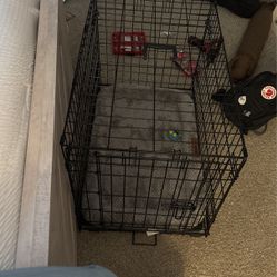 dog cage