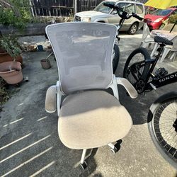 Rolling Ergonomic Office Chair