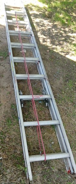 Louisville Brand
