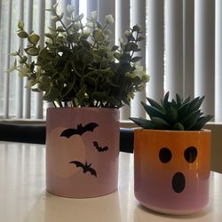 Halloween Plants 