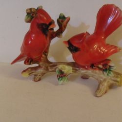 Loving Birds
