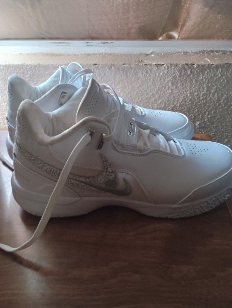 Nike Lebrons 