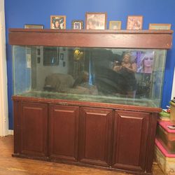 125 Gallon Fish Aquarium 