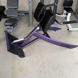 Cybex Commercial Back Extension 