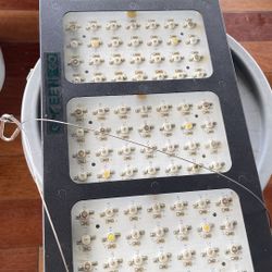 Lamps For Indoor Plants 