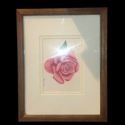 Framed Rose Painting Signed By Norma Evans