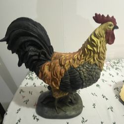 Rooster