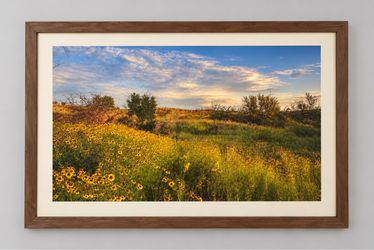 Framed Landscape Artwork