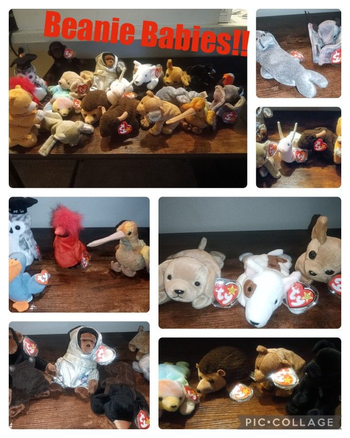 Beanie Babies Collectibles 