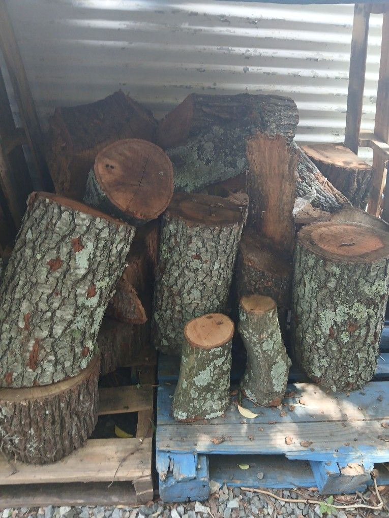 Firewood Logs