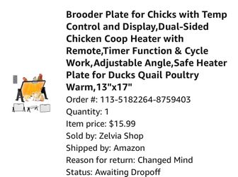 Chick lamp