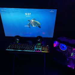 DESKTOP SETUP (RYZEN 9, 2TB SSD)