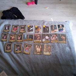 2015 Wwe Insert Cards Lot