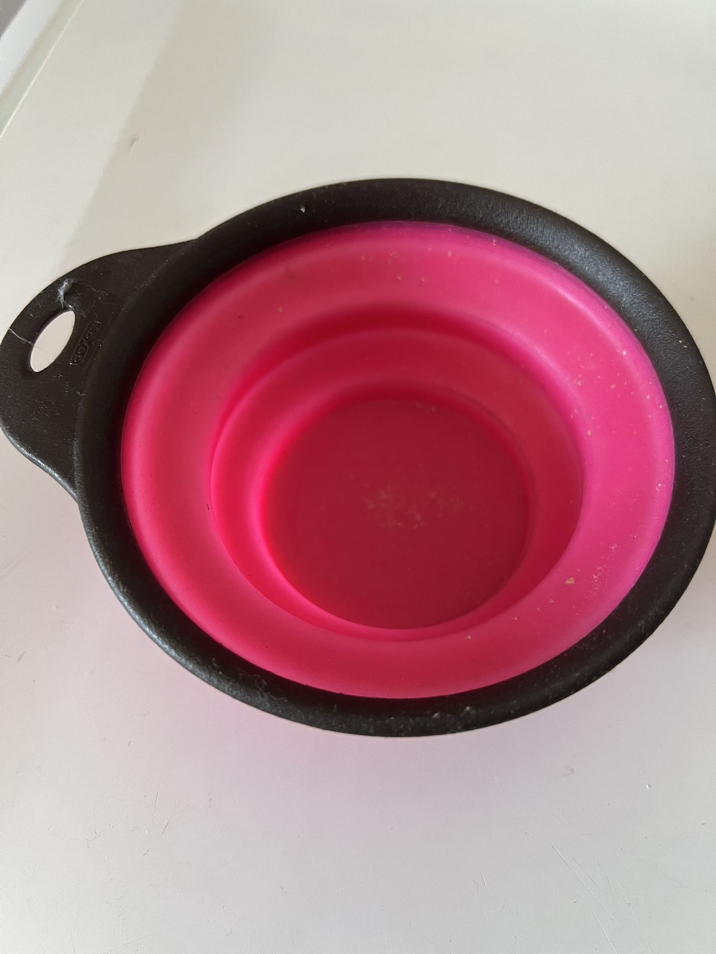 Dog Cup