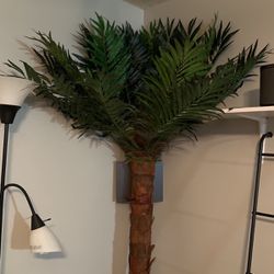 Corona, Inside Fake Palm Tree