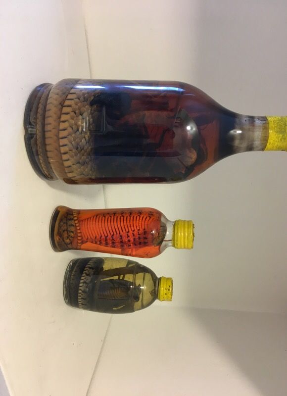 Snake Wine (Habushu)