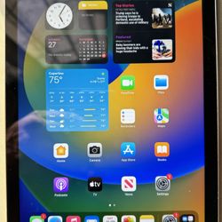 iPad 5th Gen 128gbs Storage 