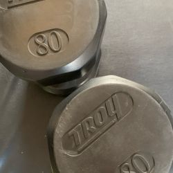 Troy Weights 80 Lbs 