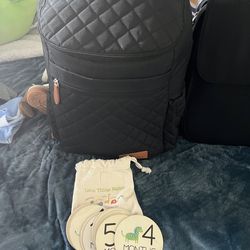 Kaiser diaper bag and milestone tags