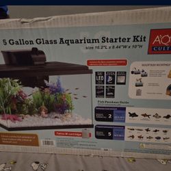 New 5 Gallon Glass Aquarium Starter Kit