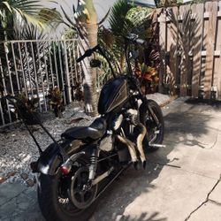 2009 Harley Davidson Midnightsun