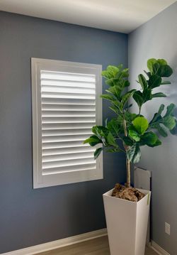Custom Basswood Plantation Shutters & Expert Installation - Real Wood Interior Window Coverings (Persianas de Madera Estilo Plantacion)